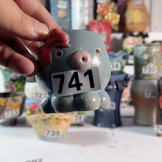 红陶多肉植物花盆