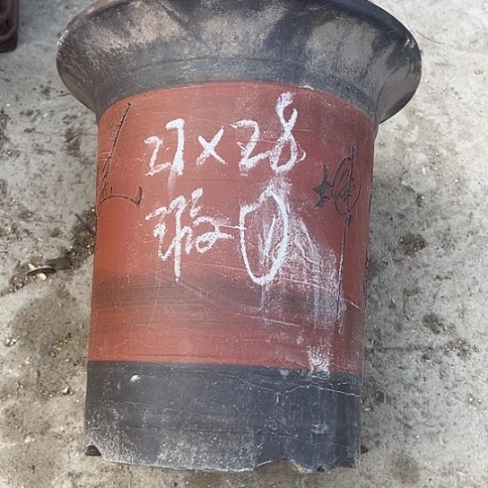 紫砂工艺厂……紫砂工艺厂……