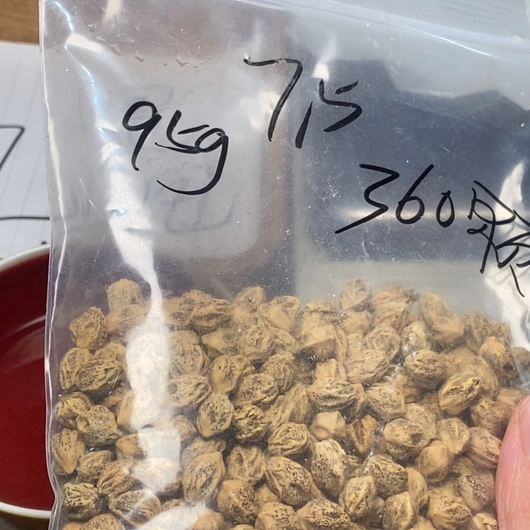 柏香籽/百香籽吊坠