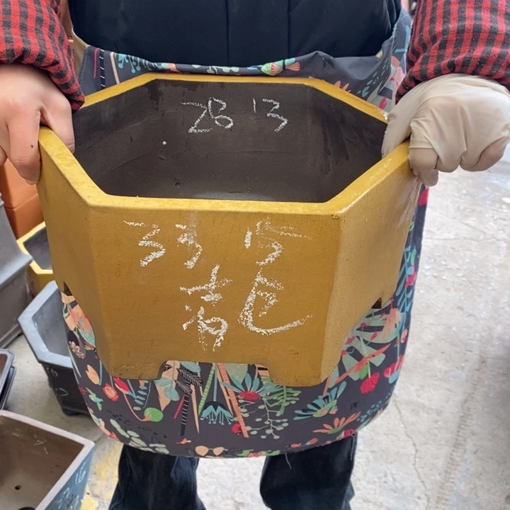 紫砂花盆只顾看手机