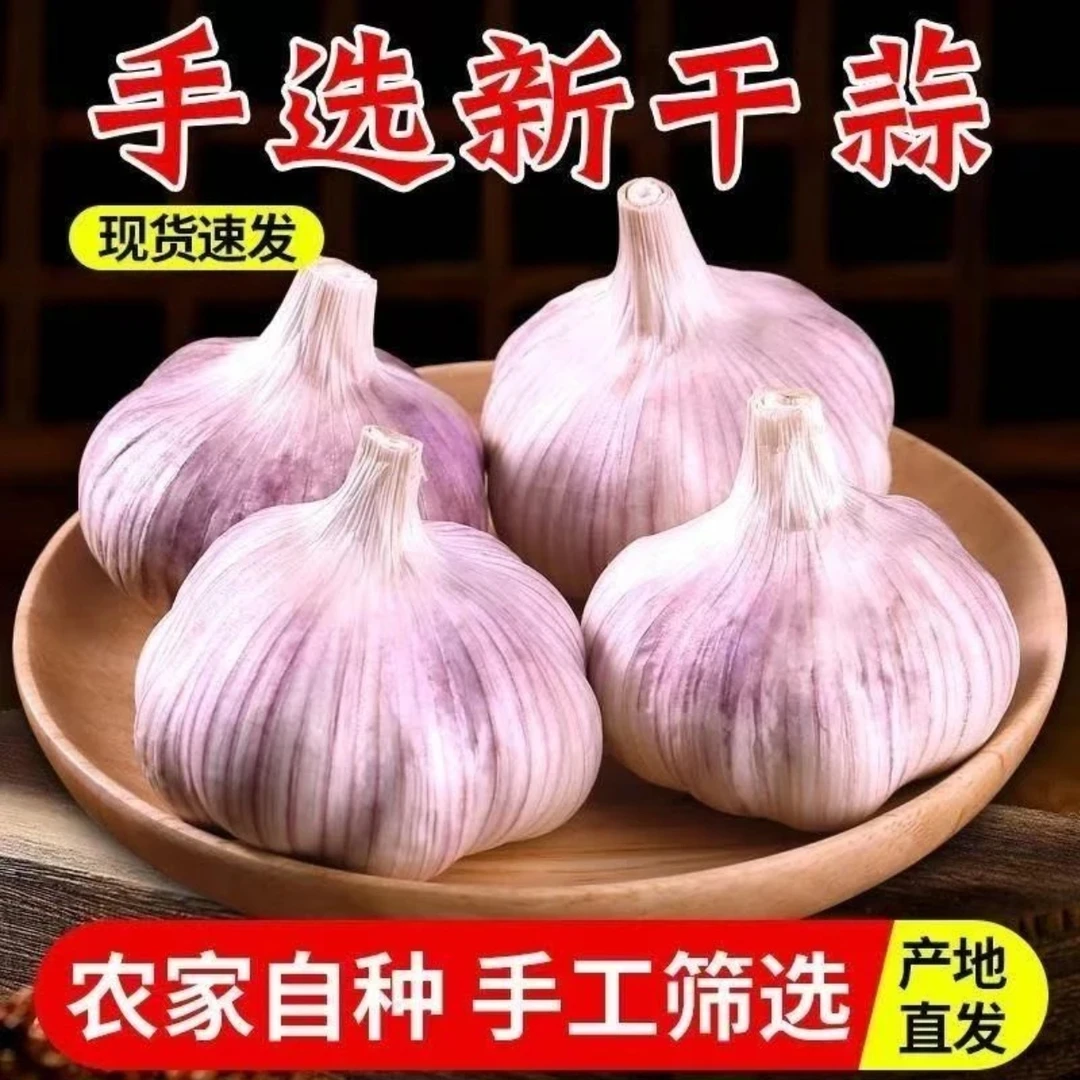 山东金乡大蒜头5斤干蒜特大蒜批发鲜大蒜正宗干蒜干蒜