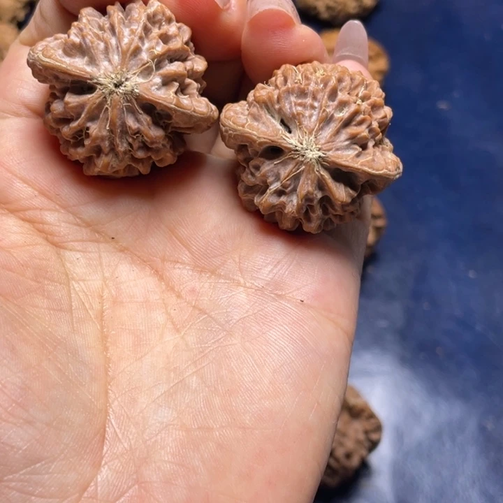 核桃手串/手链阿**琴秦闷