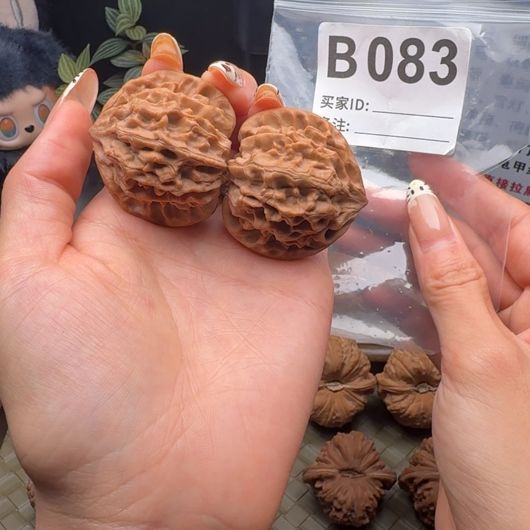 吊坠龙脊菩提全品头货龙门涧41
