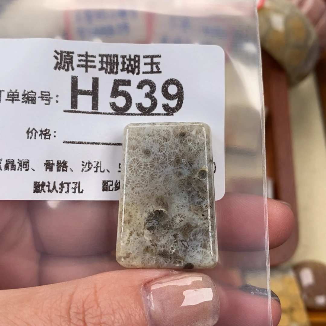 硅化玉颈饰未镶嵌这***子