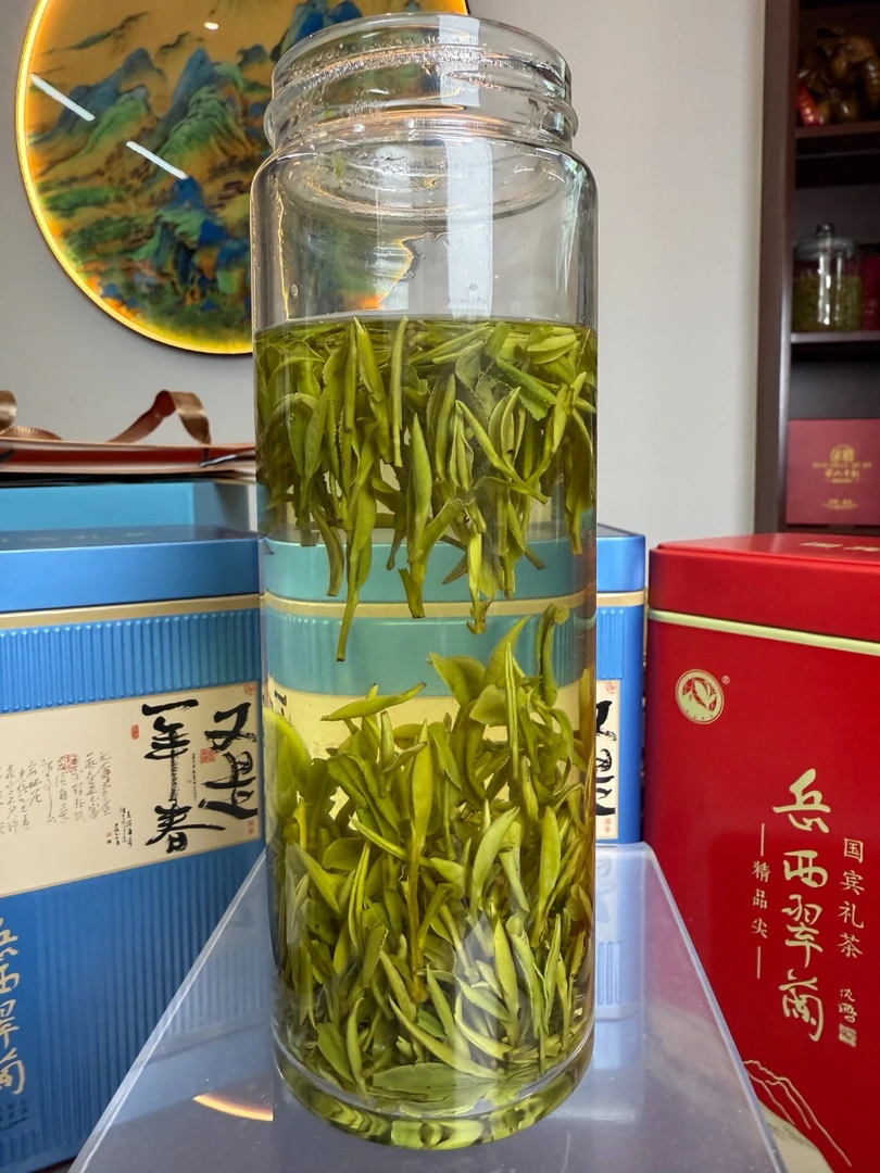 岳西翠兰2025新茶高山老品种云雾茶浓香耐泡回甘好