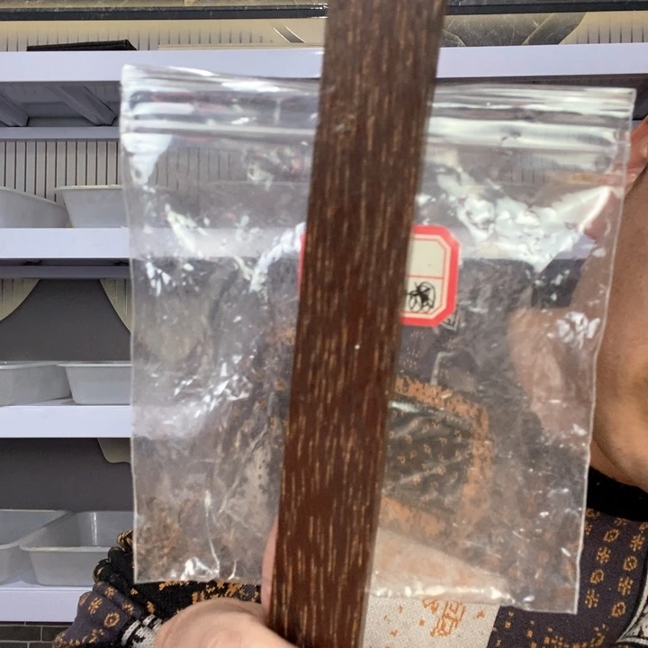 大果紫檀（缅甸花梨）508