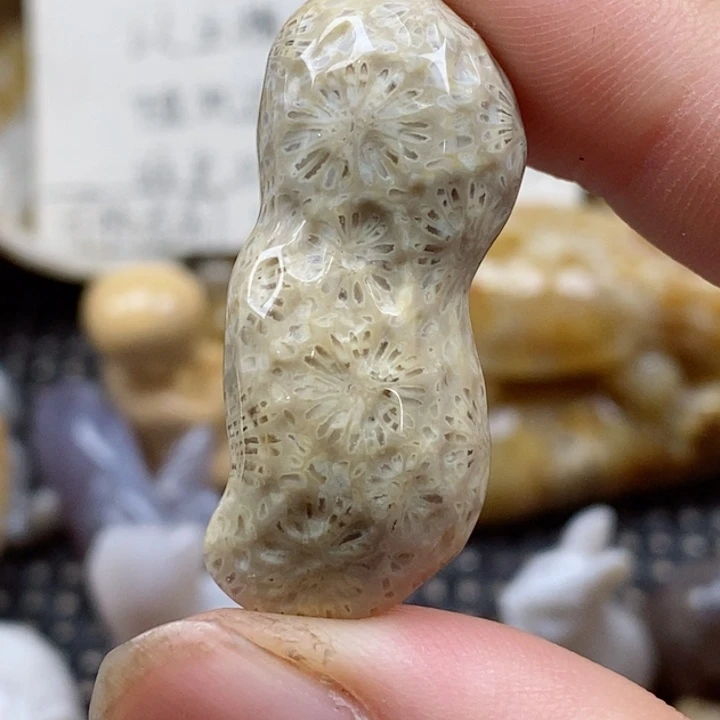颈饰未镶嵌硅化珊瑚（珊瑚玉）