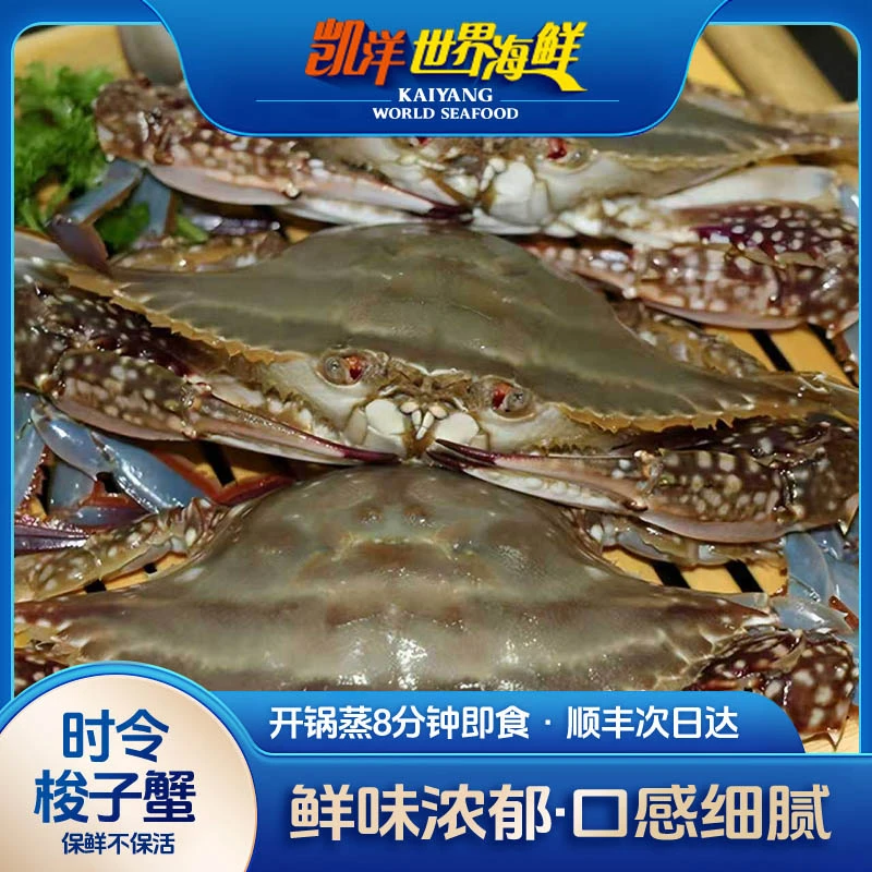 大连梭子蟹飞蟹 3斤  2-3两/只 【保鲜不保活】不保腿全