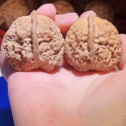 文玩核桃把件金刚佛手带彩41