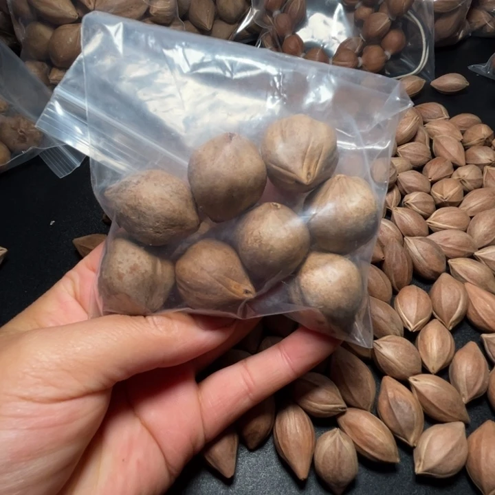 用***9猪牙手串/手链我是