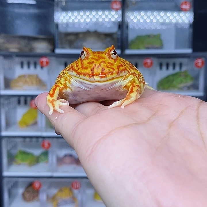 特价秒杀现货特价