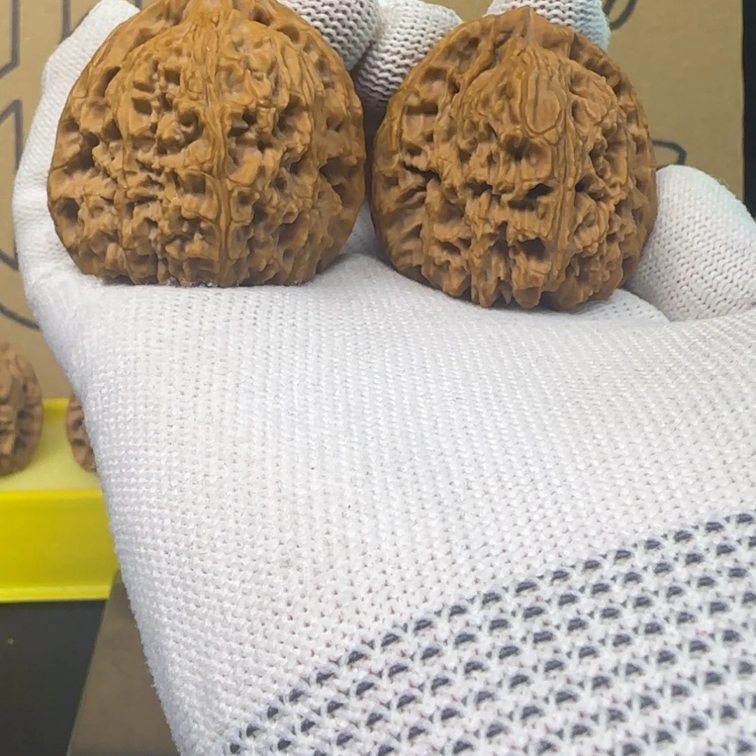 车***友吊坠龙脊菩提南疆石