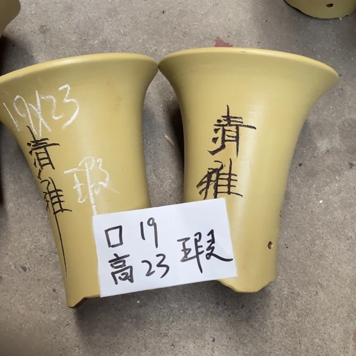 周深周深周深周深周深