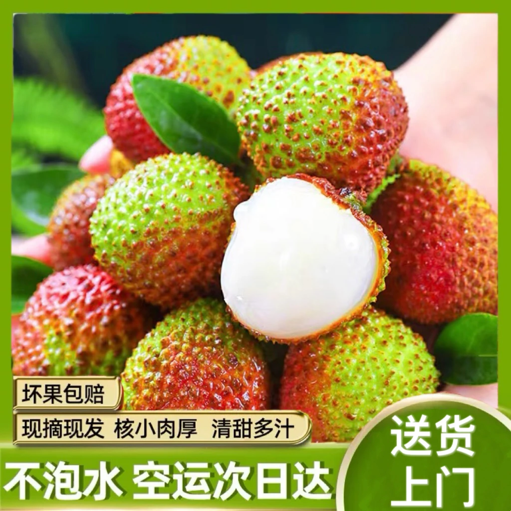 【次日达】604鲜甜多汁广东茂名荔枝当季新鲜水果带箱3斤/5斤果肉饱满多仓发货5荔枝同城送广东省