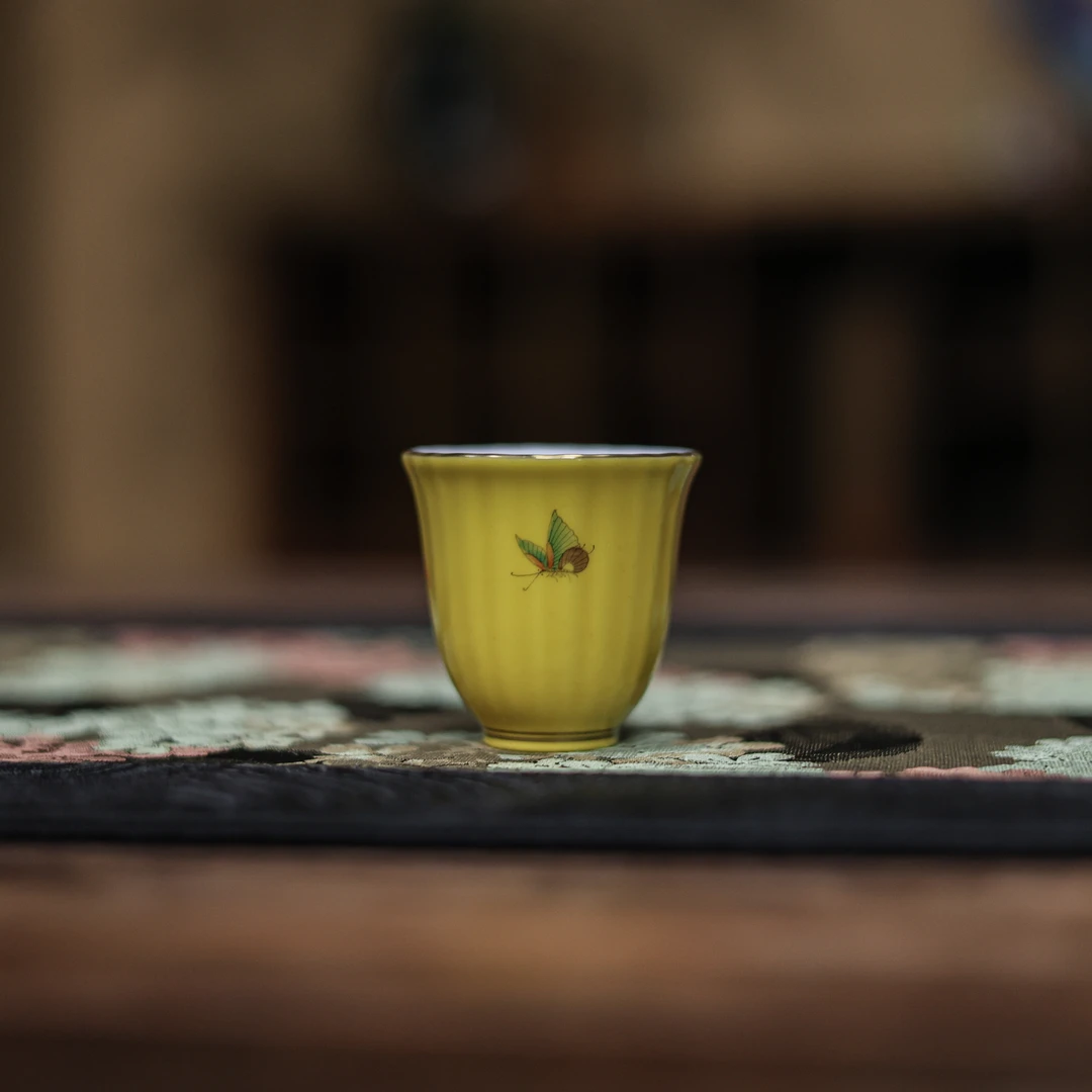 【大乔甄选】帝黄蝴蝶菊花杯（华隐S1303）