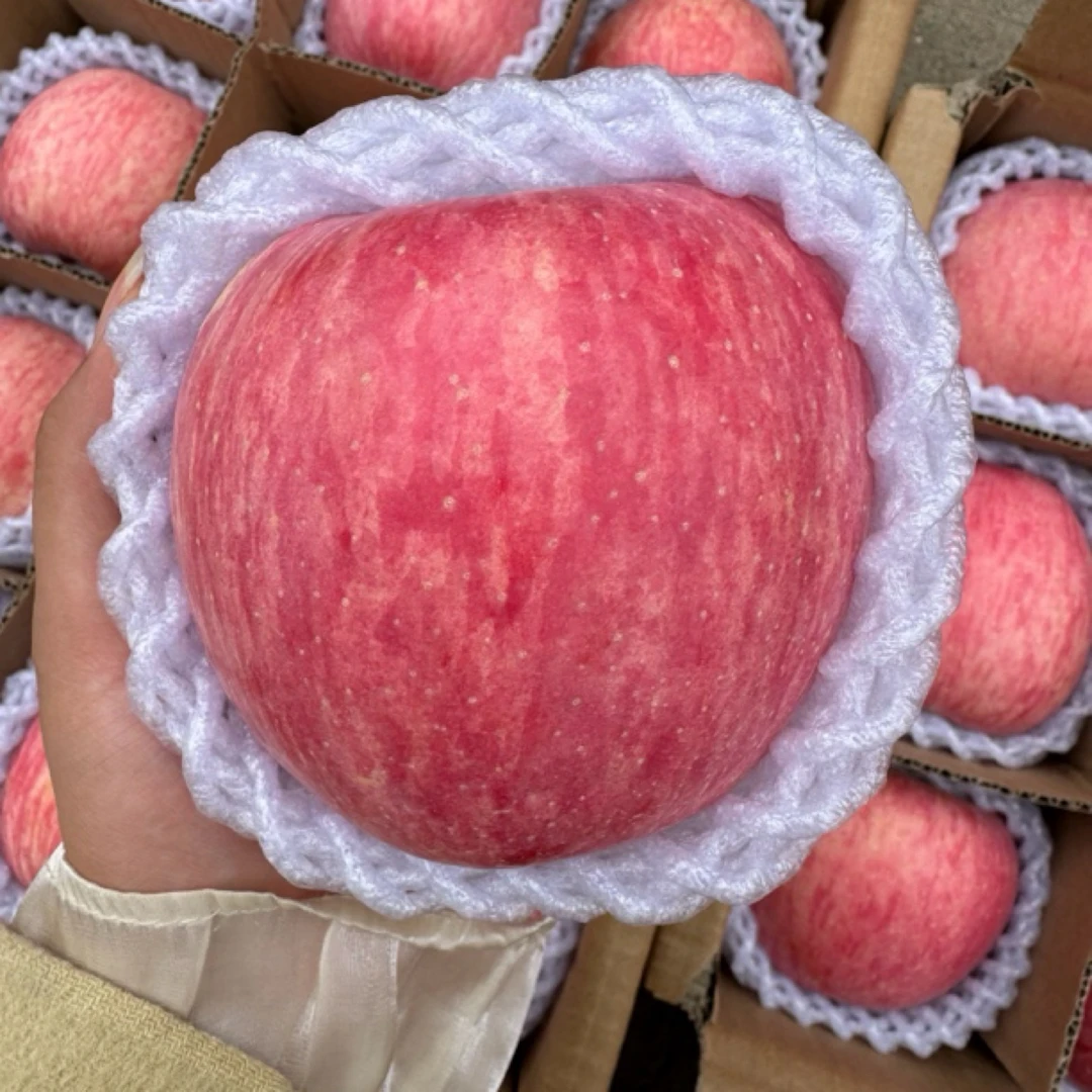 精品大果凤阁岭红富士脆爽酸甜当季新鲜现摘现发