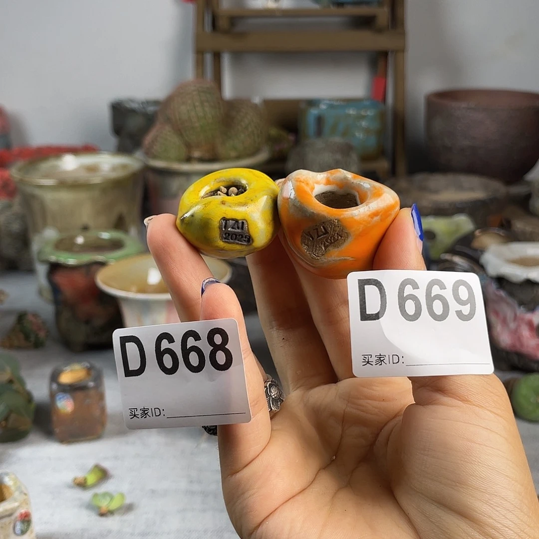 软***糖哈哈哈哈哈哈哈哈哈
