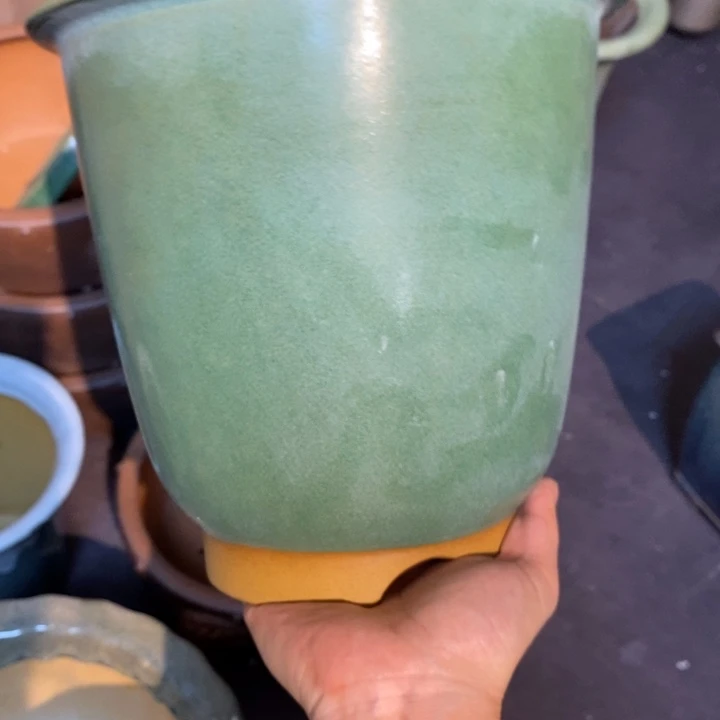 紫砂花盆蓝****福利来啦