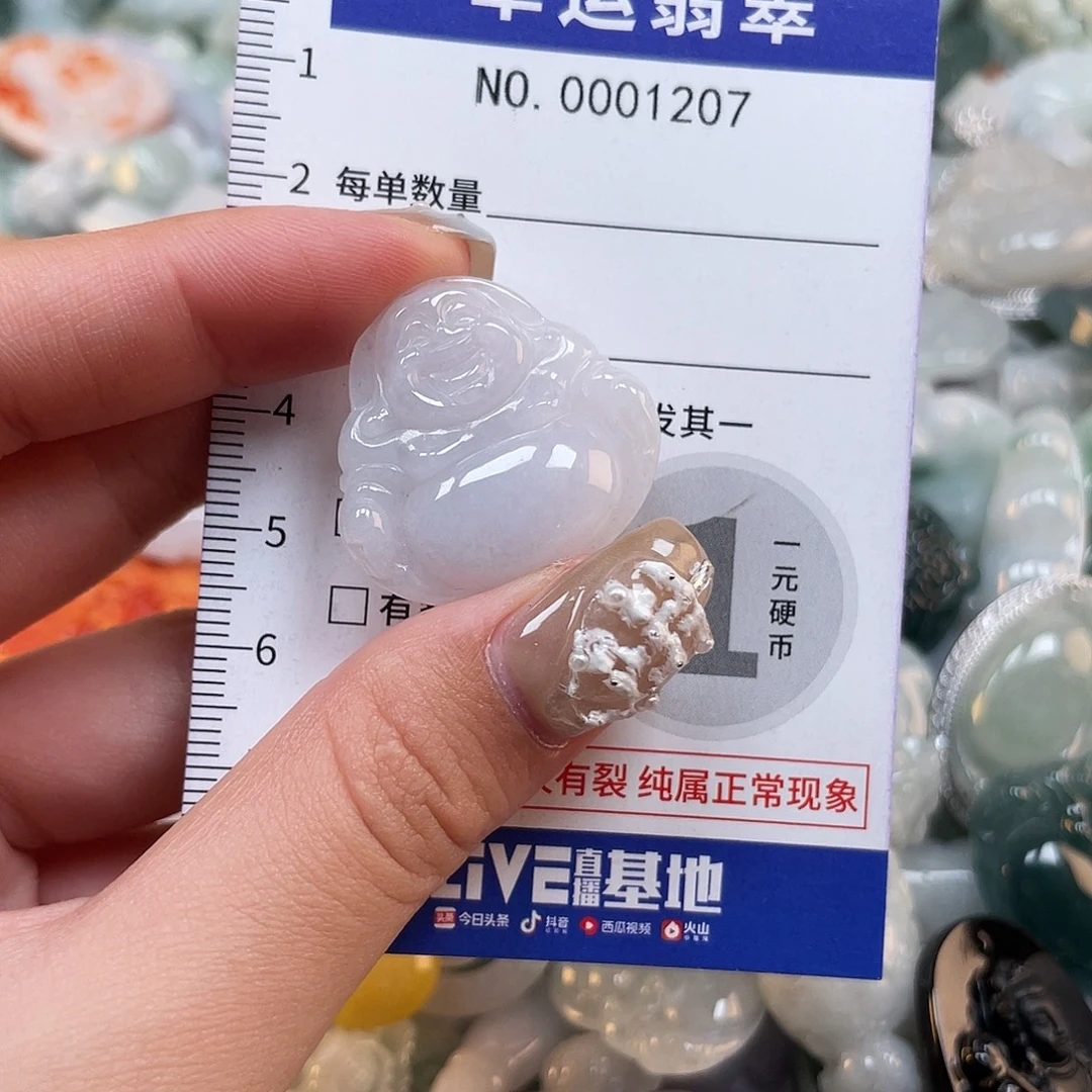 翡翠未镶嵌颈饰1207