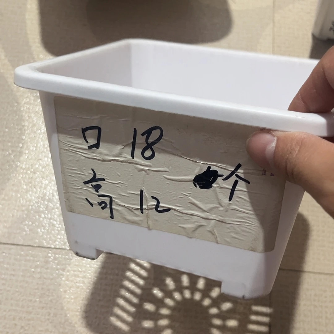 加厚景天口18高12白盆10个无托