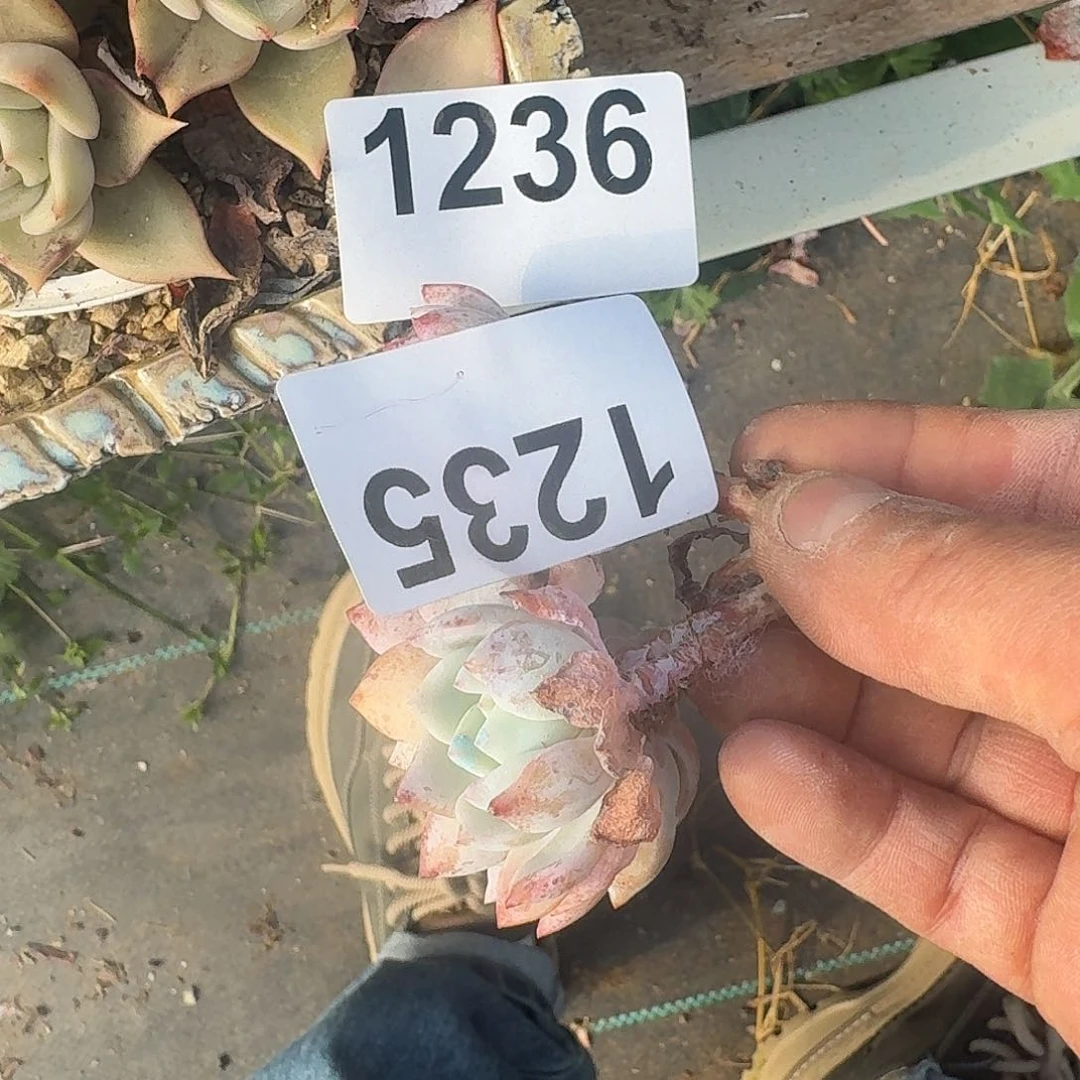 简**说346464646464646466464