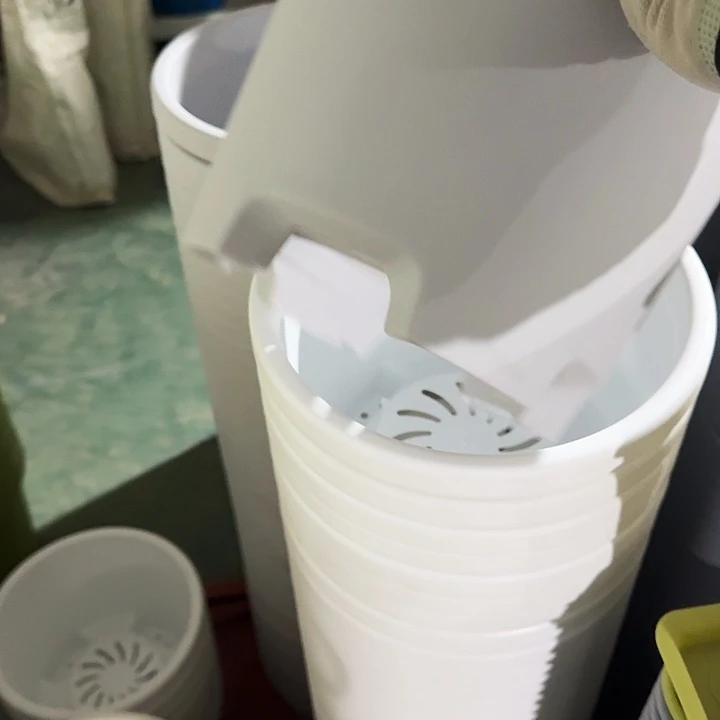 球根25口径6个无托灰白