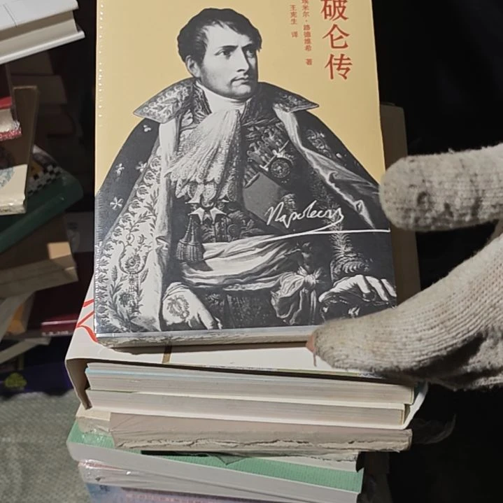 拿破仑传平装库存书