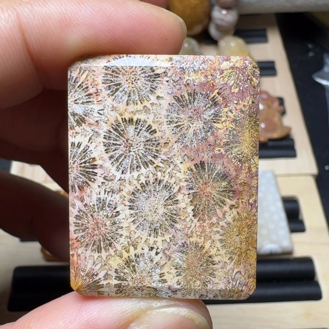 未镶嵌纯天然色有机玉石保真色硅化玉