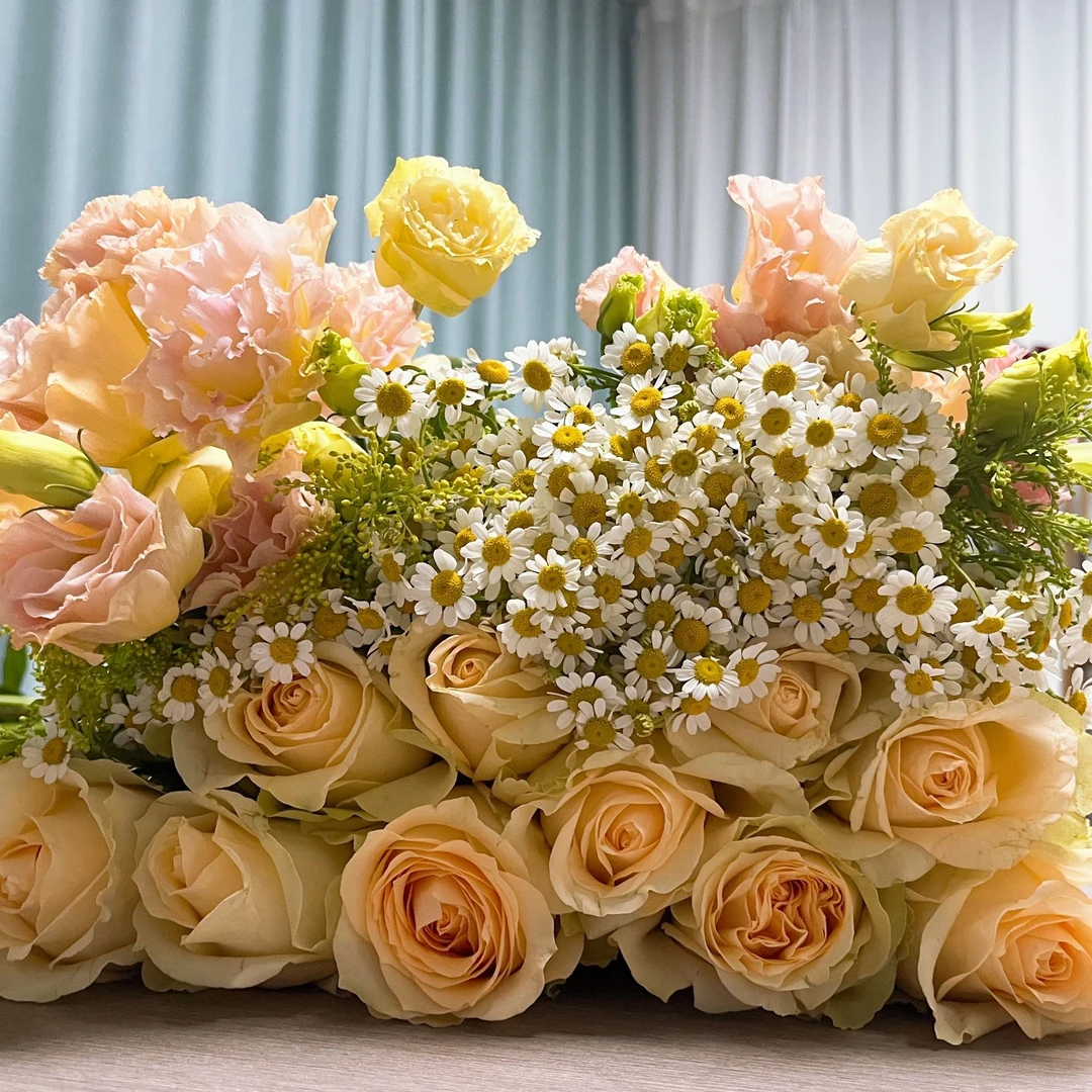 【香槟+洋桔梗+洋甘菊+黄莺草】家用鲜花直播间现场直播卖花