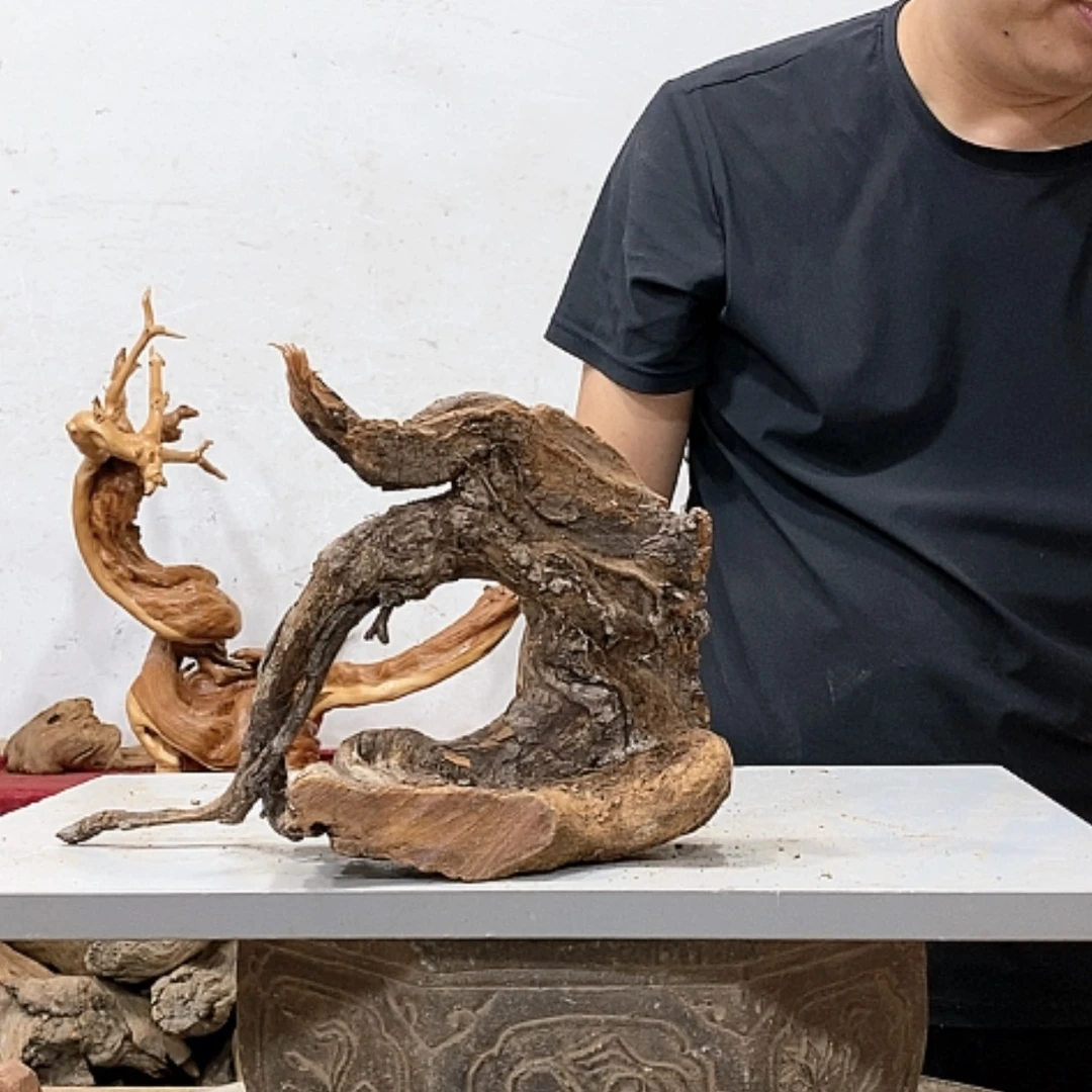 【闪购商品】柏木人****3我们都是好孩子