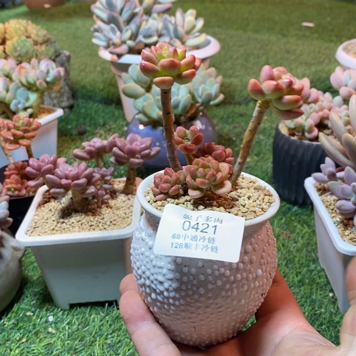 0421啊啊啊啊啊啊啊啊啊啊