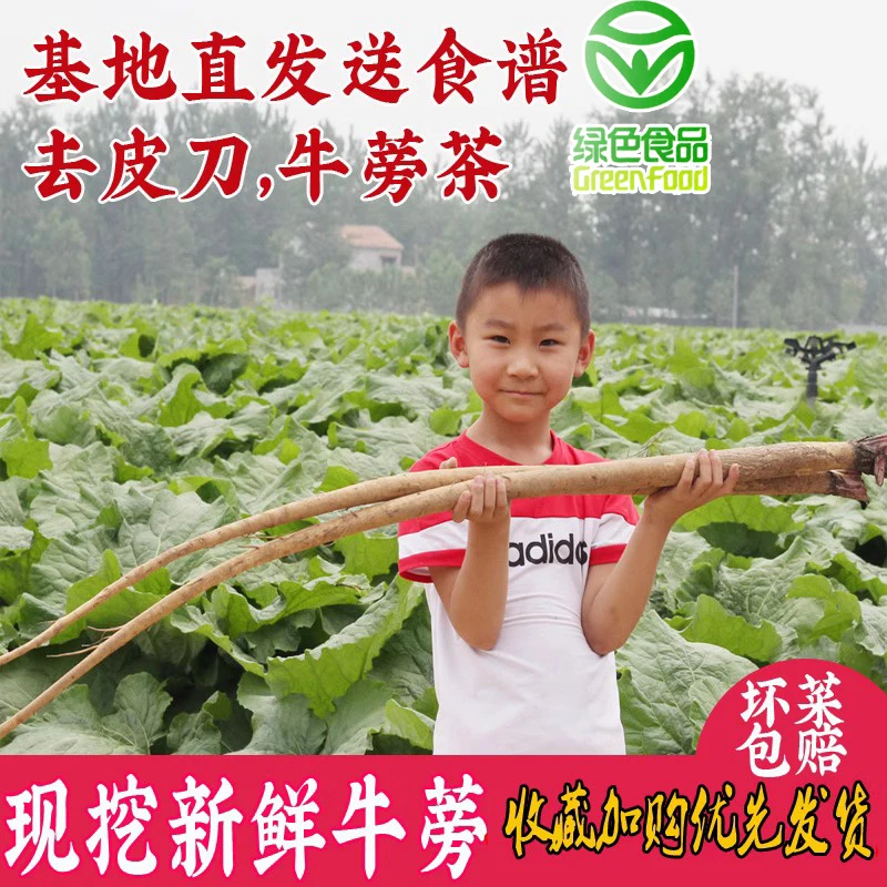 安疗榨汁徐州新鲜黄皮牛蒡根5斤种植养生绿色蔬菜食用黄金膀榜旁