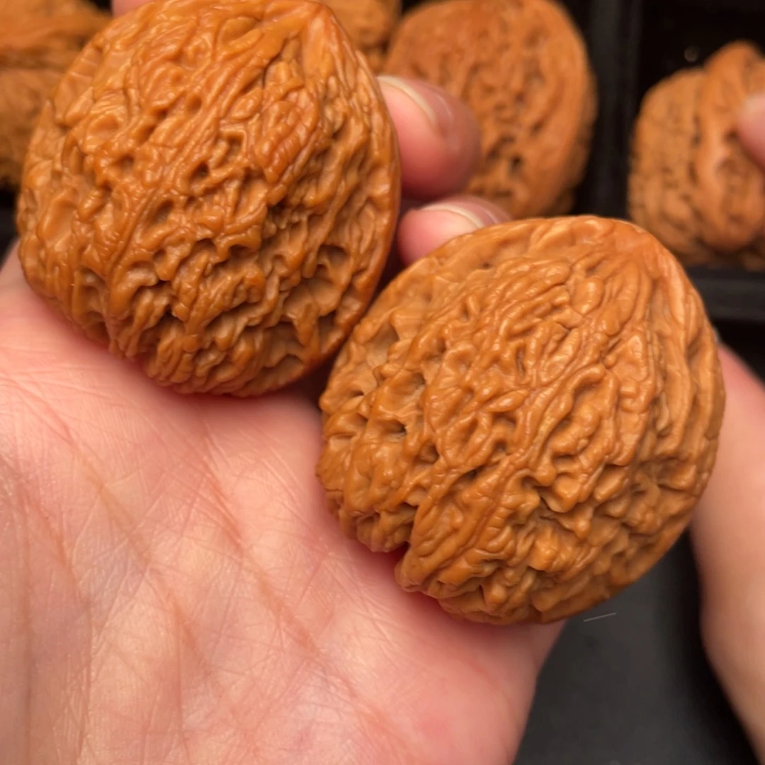 秦岭野生文玩核桃