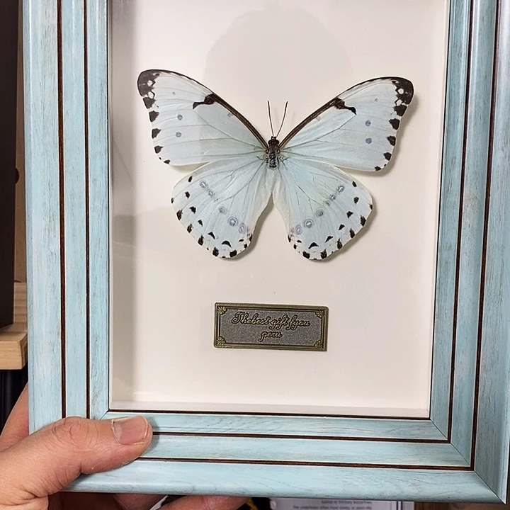 大理石磁石肯特白闪蝶18寸框