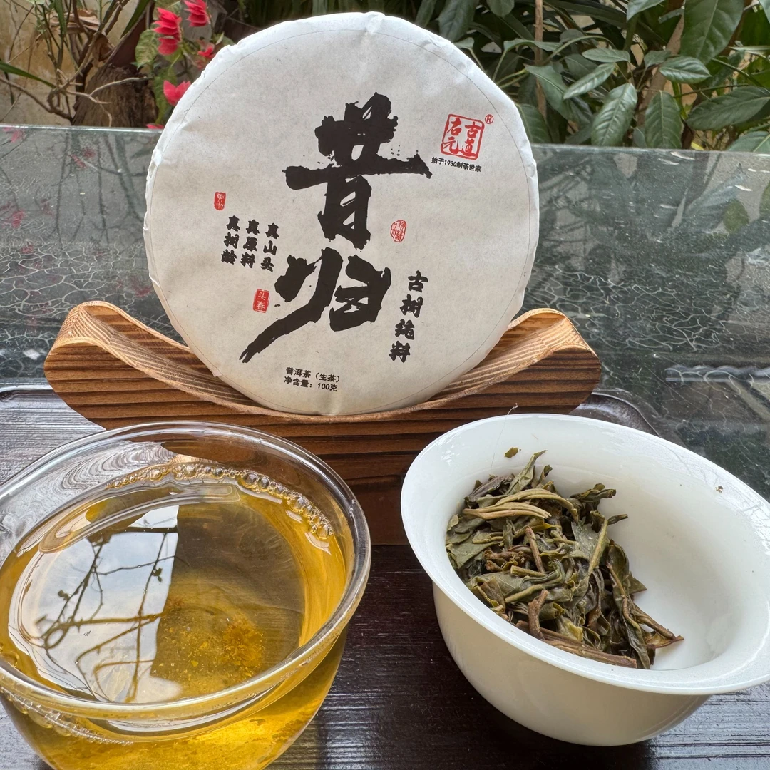 2024年-昔归-古树-春茶-100克饼-普洱茶-生茶-汤感饱满