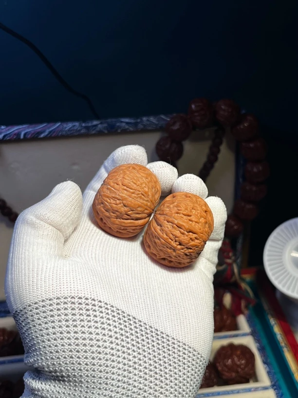 24年精品白茬铁锤妹妹狮子头