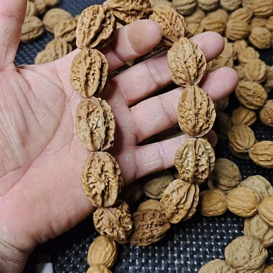 用***2木质类纯野生山核桃