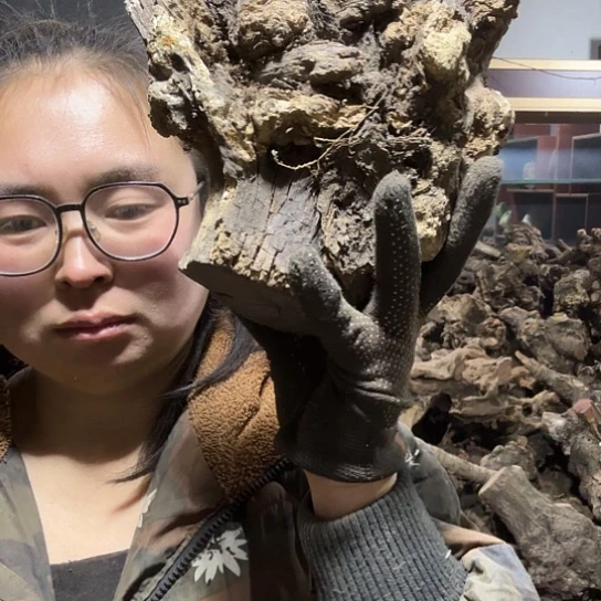 香榧木用****0火琉璃的毛料才几次