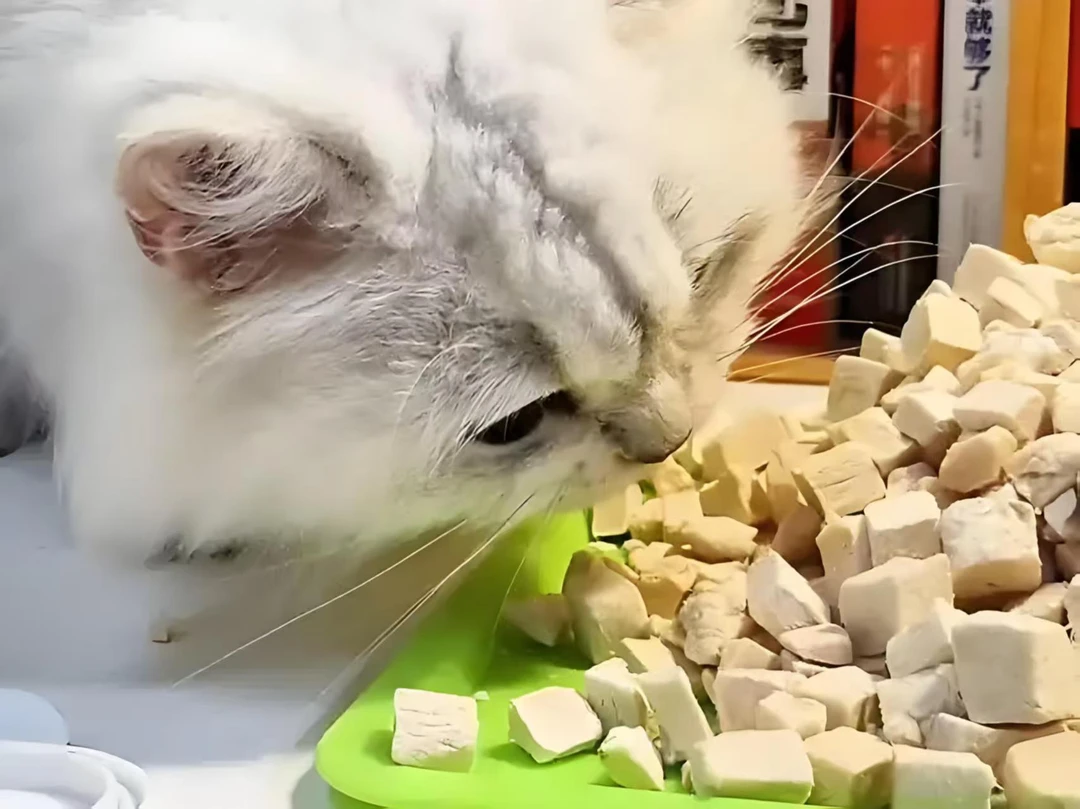 朗诺猫猫零食冻干