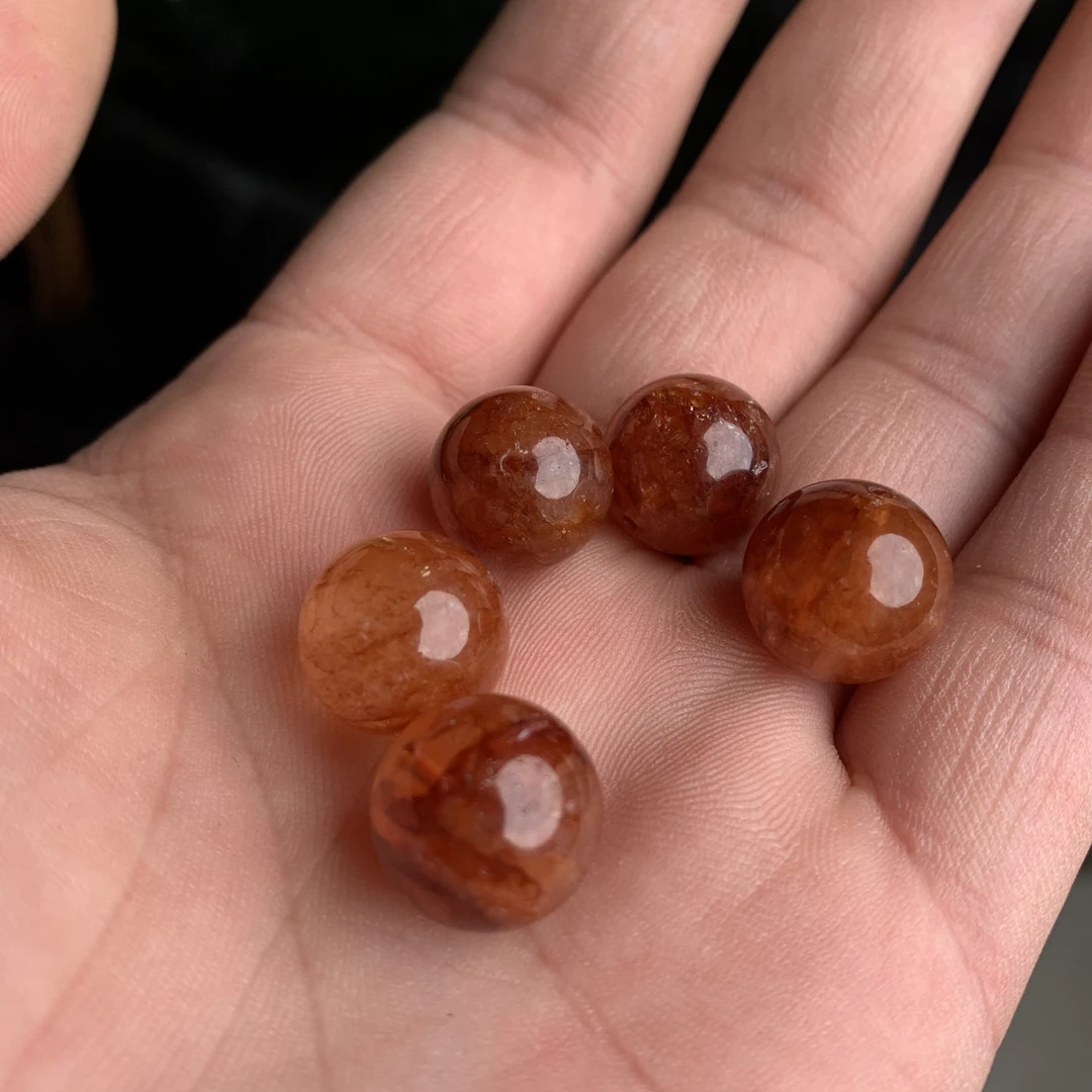 红胶花单珠13+ DZ81 多样性发其一