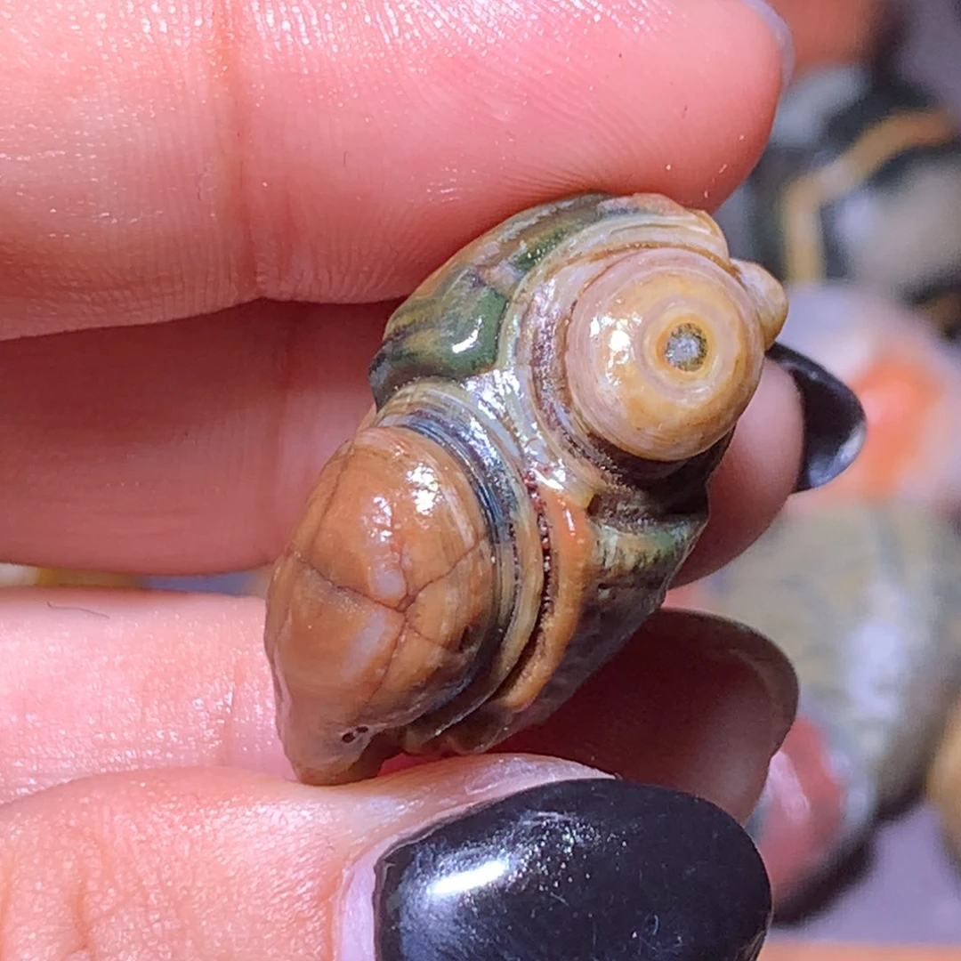 石材地表眼睛石鸟儿