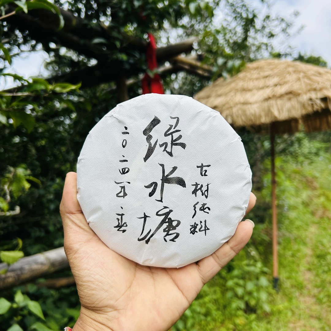 磨烈绿水塘（春茶）百年古树 花香 云南普洱茶 饼茶
