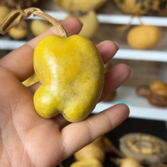 .*七跷脚土豆大厚皮一把握