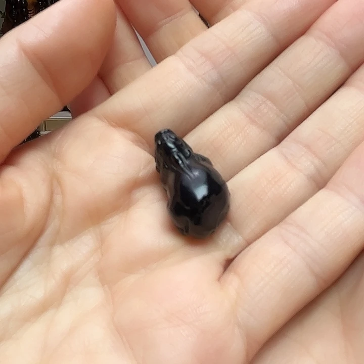和田玉（墨玉）未镶嵌颈饰貔貅