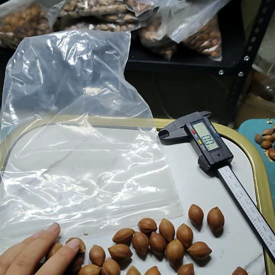 基***睿吊坠橄榄核小籽一点