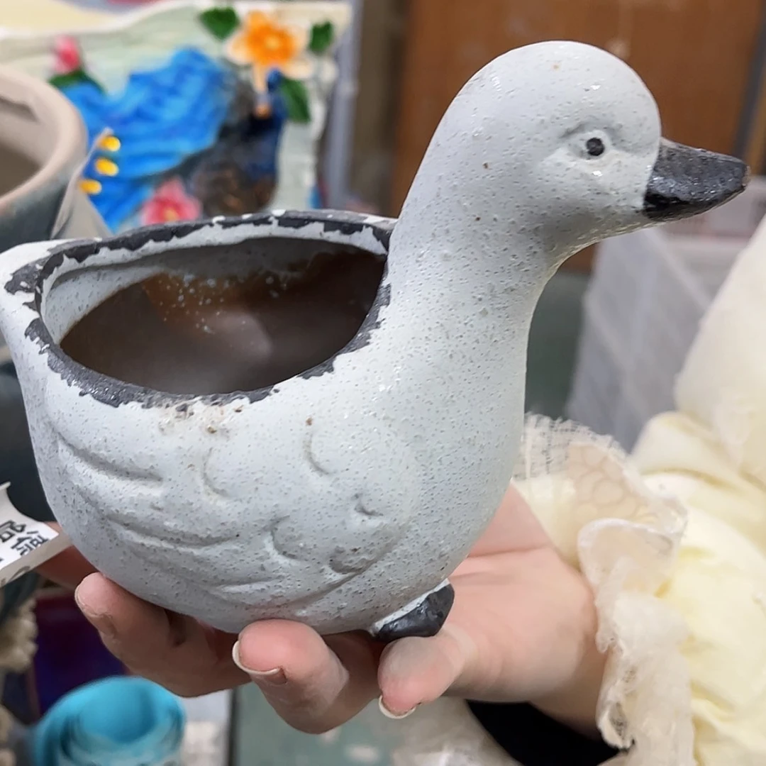 【闪购商品】红陶福利颜色随便发