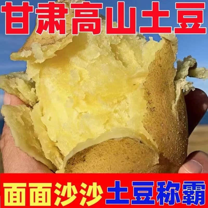 【支持试吃】甘肃定西土豆旱沙地黄皮黄心沙面粉面新鲜现挖马铃薯