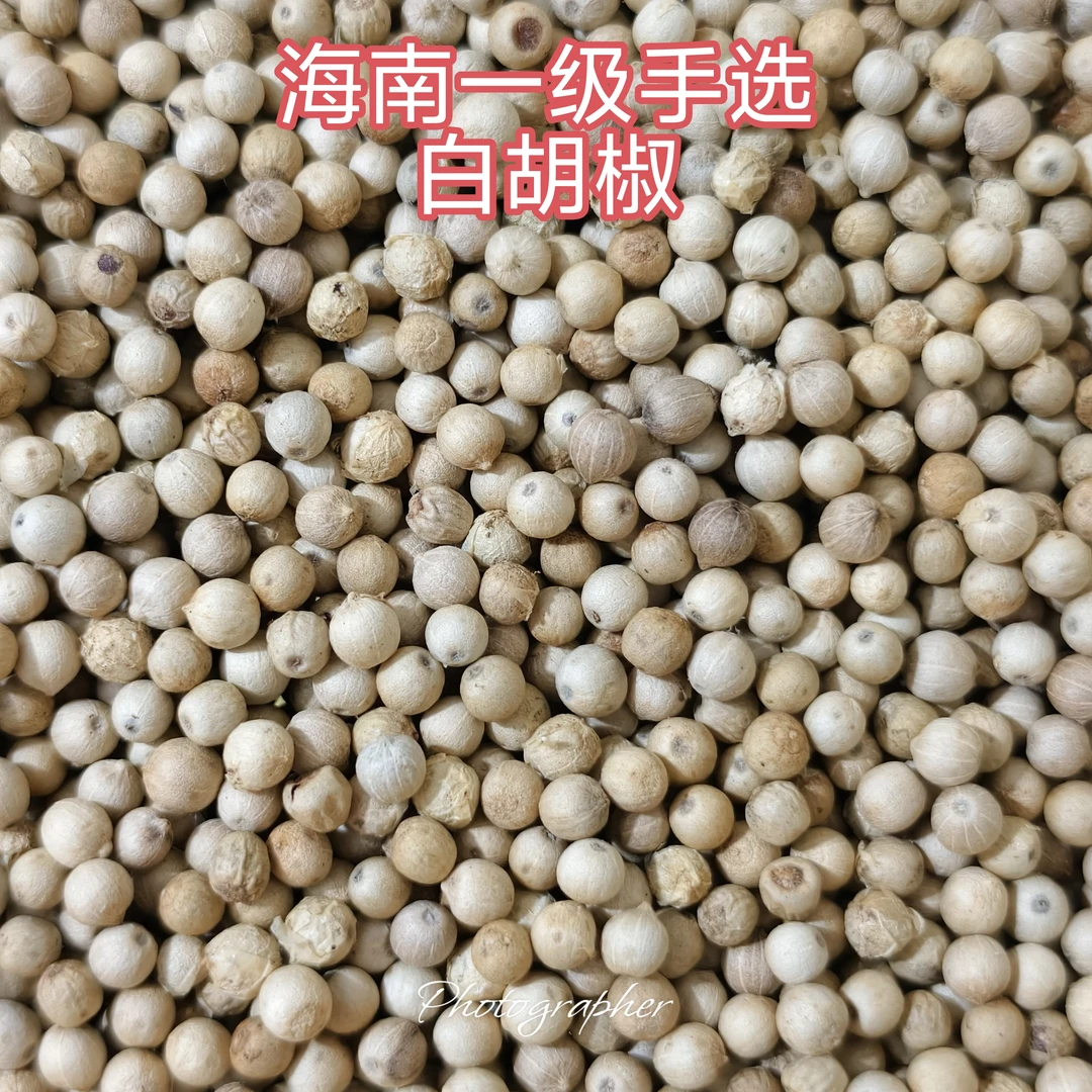 海南一级手选白胡椒粒无硫无漂白顺丰包邮下单送 30克(粉)体验装