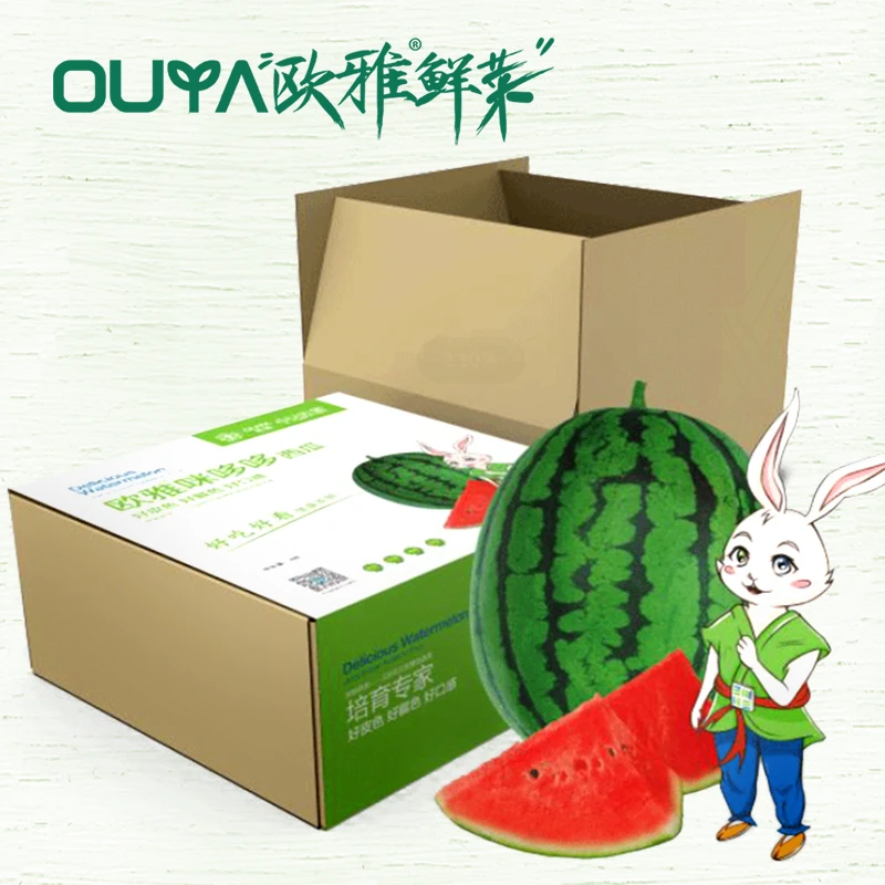 蔬菜乐园咪哆哆西瓜4枚装（10-12斤）郑州黄河滩中原蔬菜乐园新鲜河南省