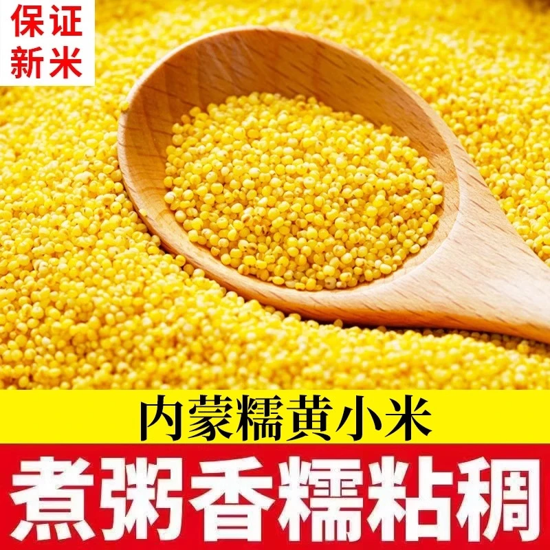 【5斤划算】内蒙油糯黄小米月子小米粥农家新米熬粥煮饭杂粮农产品